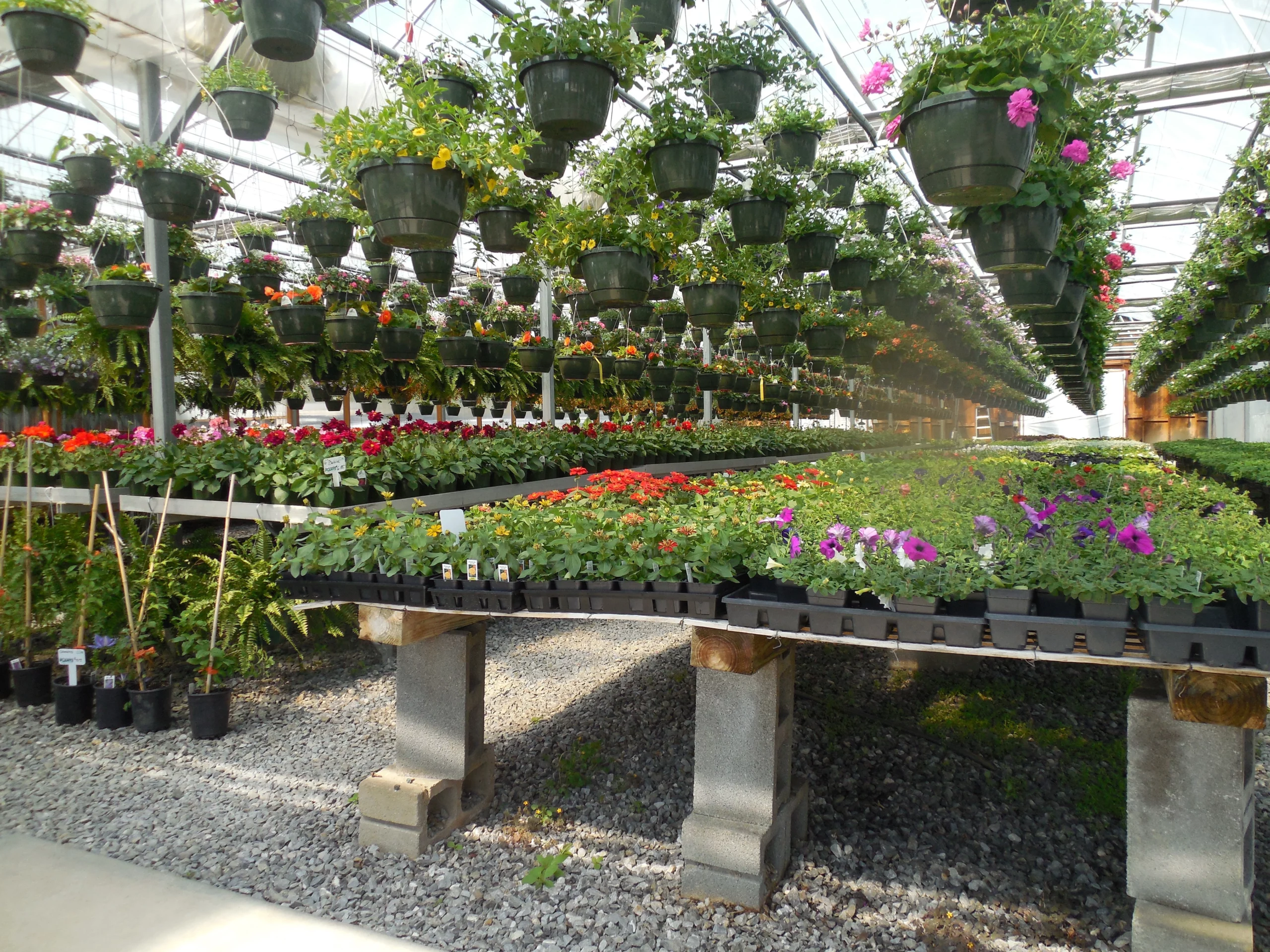 PR flowers plants horticulture floriculture Poland Polish agency