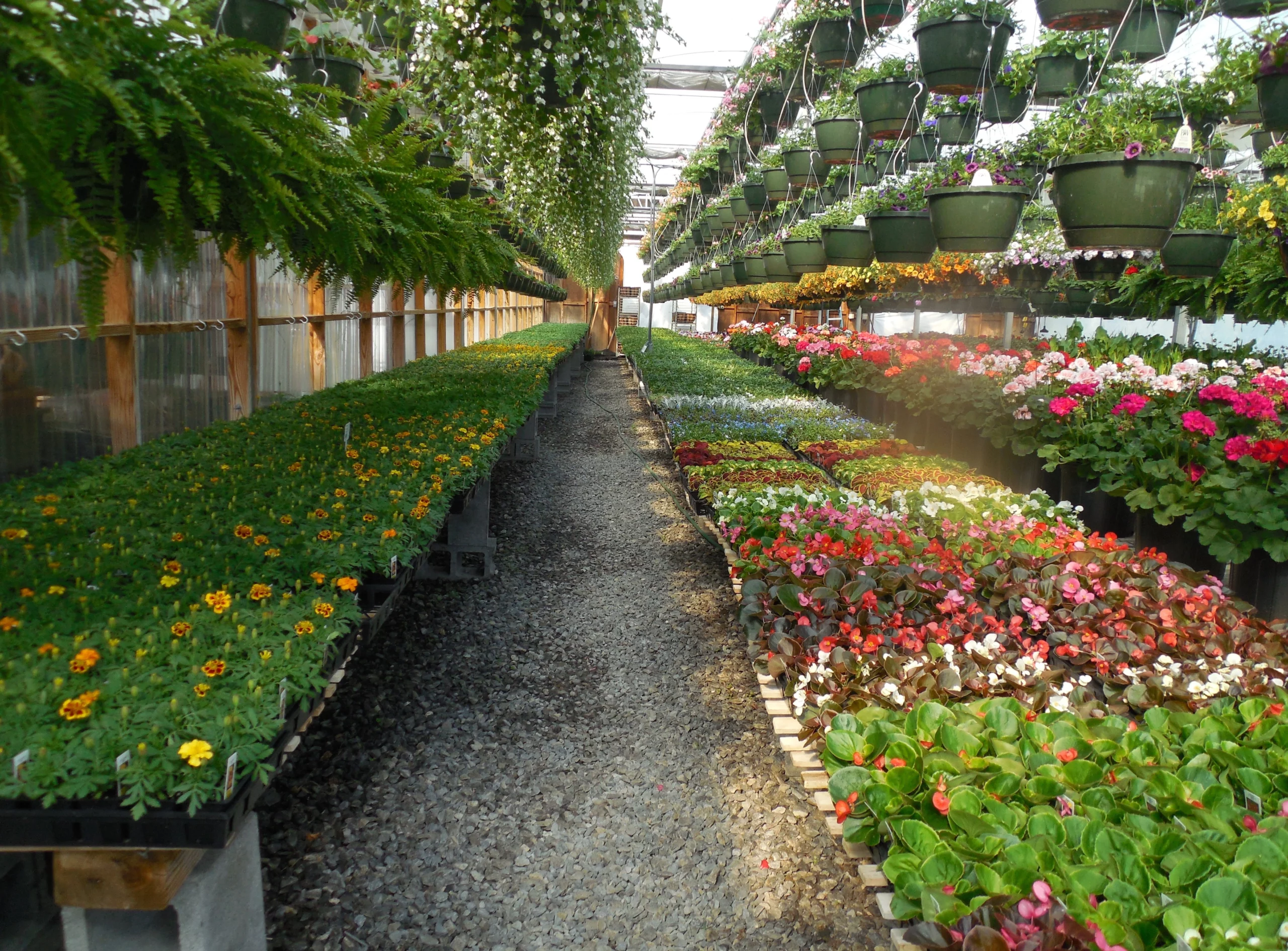 PR flowers plants horticulture floriculture Poland Polish agency